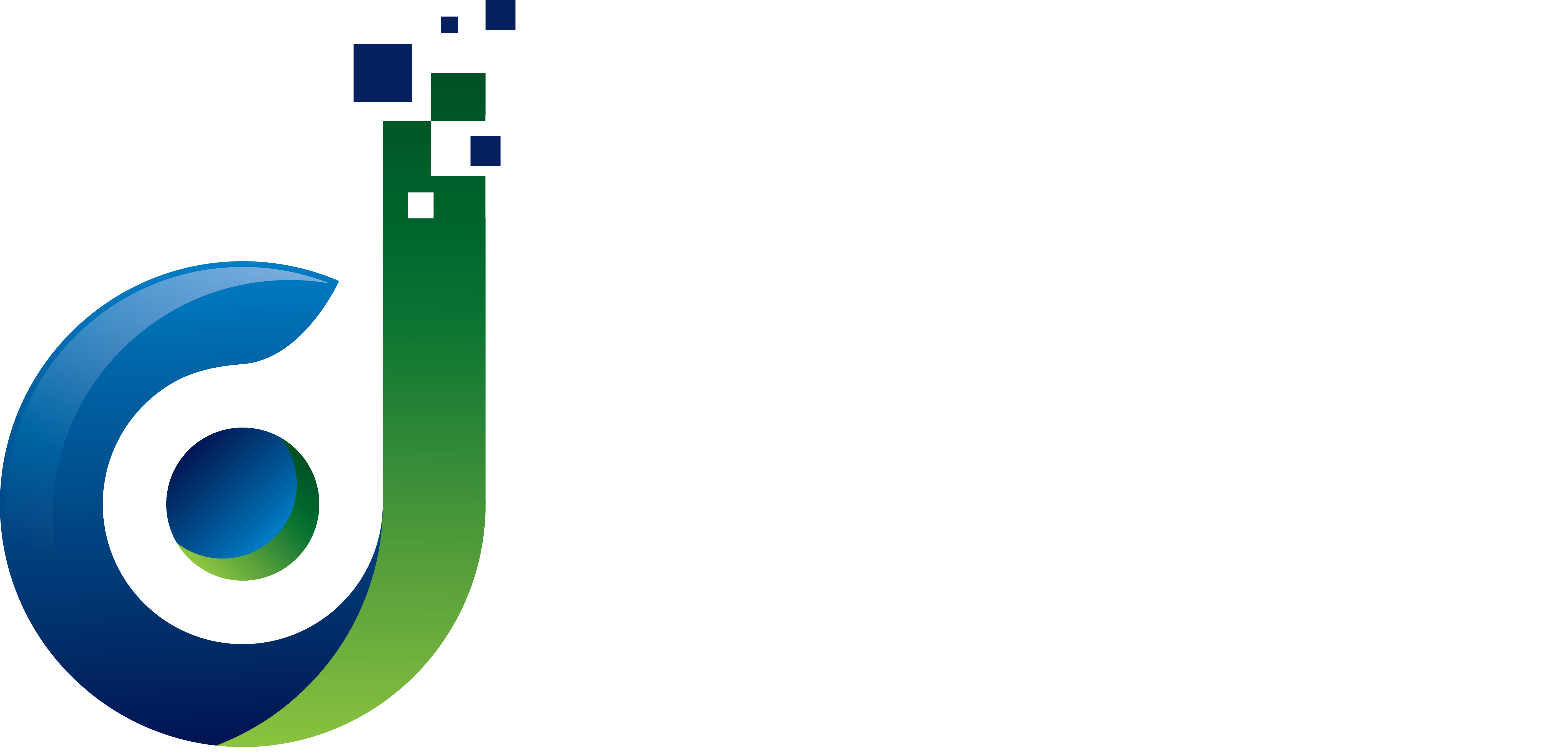 DETROIT DIGITAL MARKETING AGENCY